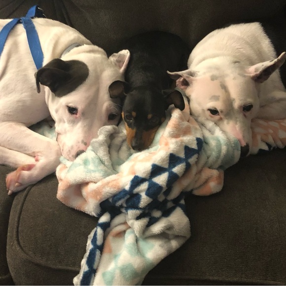 All about me! - Picture 1 of 6